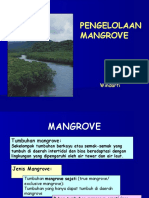 Konservasi Pengelolaan Mangrove