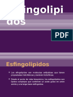 Esfingolipidos 130520203036 Phpapp01
