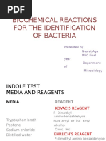 Nusrat Biochemical Reactions 