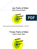 Three Parts of Man: Body Soul and Spirit