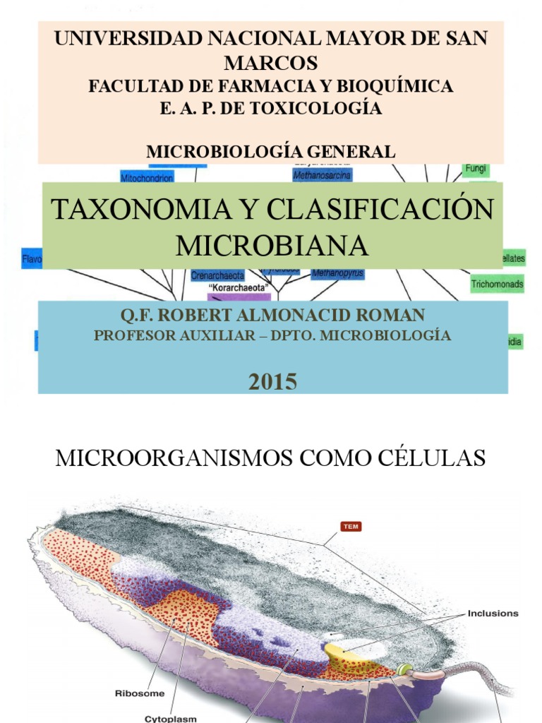 Taxonomia y Clasificación Microbiana Adn Las bacterias