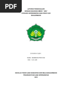 Download LP GEA  by Bambang Prayogi SN300265293 doc pdf