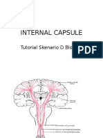 Internal Capsule