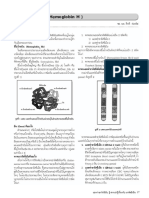 Alpha Thalassemia 17 19