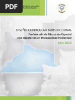 Diseño Curricular Profesorado Educación Especial 
