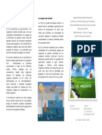 Triptico El Ambiente Como Sistema PDF