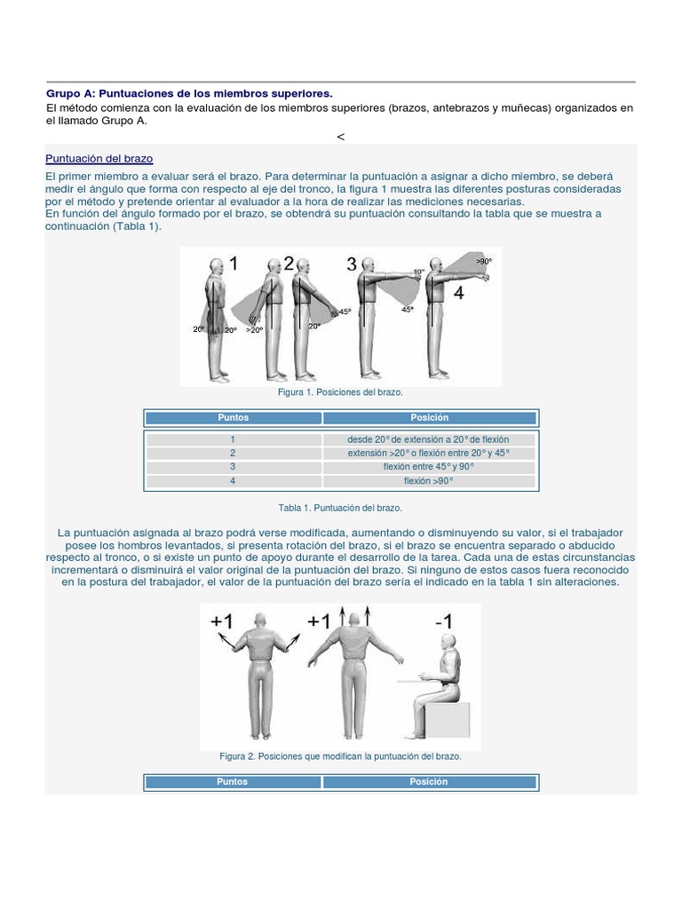 Método RULA para Evaluación Postural | PDF | Métodos y materiales de ...