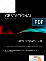 Saco Gestacional