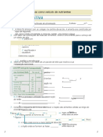 Ficha de Ciencias 1