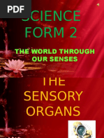 Science Form 2: The World Through Our Senses