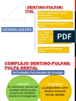 Complejo dentino-pulpar: Funciones y células de la pulpa dental