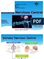 Sistema Nervioso Central