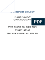 Plant Pigment Chromatography Lab Report