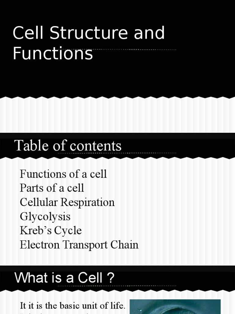 Cell Structure and Functions.pptx Cell (Biology) Cell