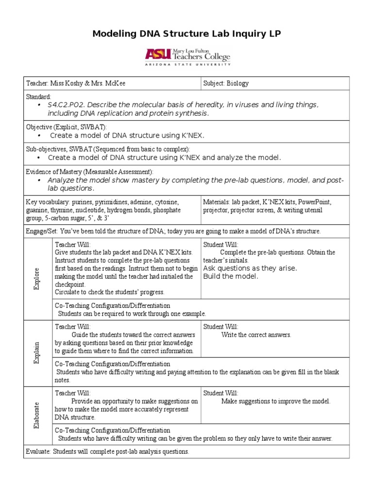 Modeling Dna Structure Lab LP | PDF | Career & Growth | Art