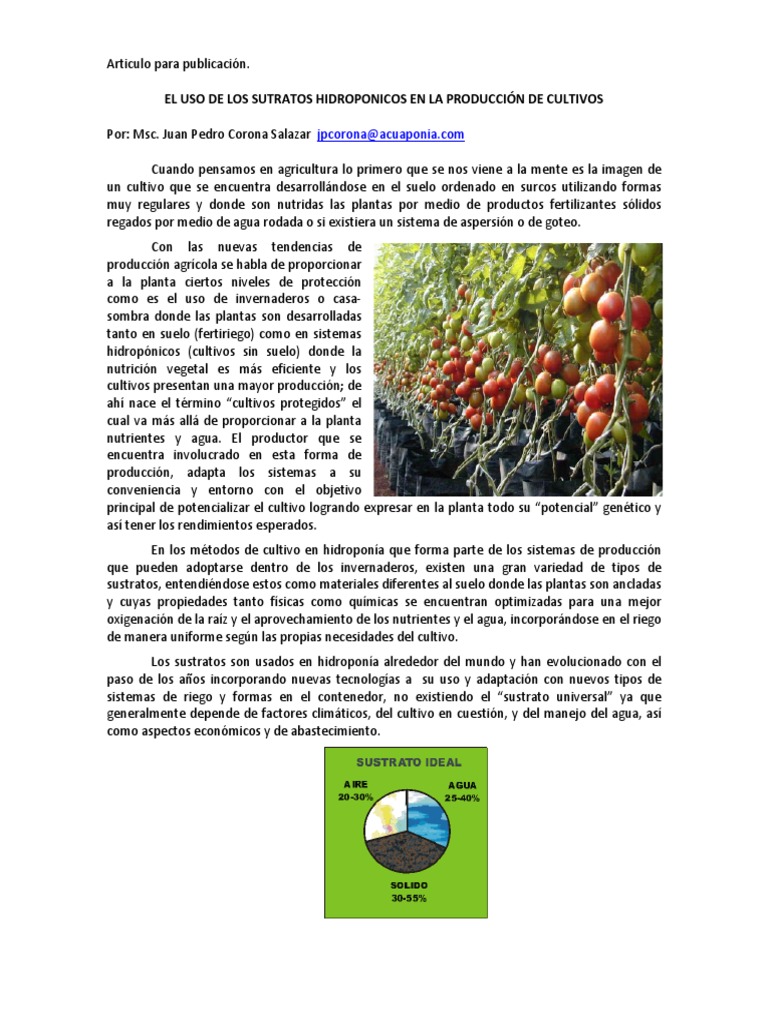 Gua Suelo Vs Hidropona   Hydro Environment