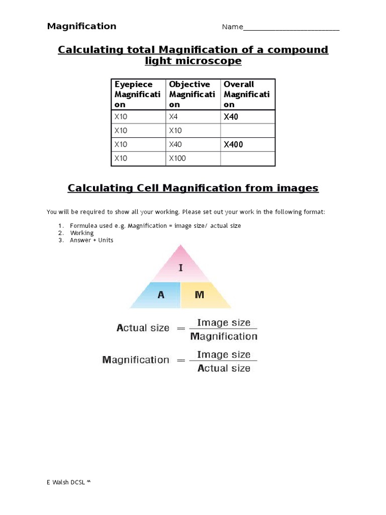 Light Microscope Total Magnification - Micropedia