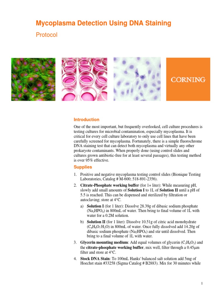Mycoplasma Testing Protocol Staining Fixation (Histology)