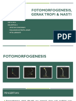 Fotomorfogenesis, Gerak Tropi&Nasti - Kelompok 5 - Off H 2014