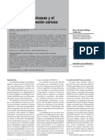 Download MMPs y Caries en Dentina by Rony Christian Hidalgo Lostaunau SN30043275 doc pdf