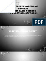 Gel Electrophoresis of Proteins