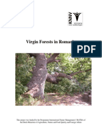 2015-12-22 Virgin Forest Romania Summary