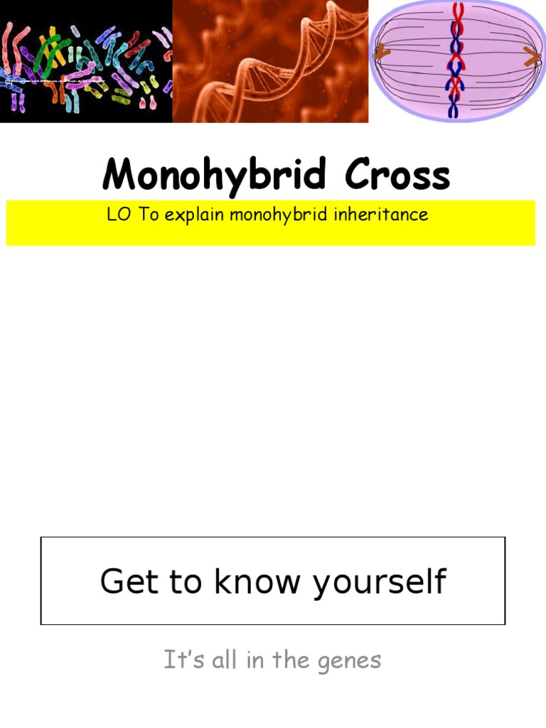 What Are Signs Of Cross Dominance? – CGZSUT