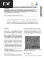 Pigmentos de Pinturas Rupestres Pré-históricas Do Sítio Letreiro Do Quinto