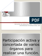 La Sinergia en La Enseñanza de Principios y Valores Sesion 23-24