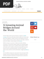 Download 12 Amazing Animal Bridges Around the World TwistedSifter by BaYi Fajutagana De Guzman SN300542283 doc pdf