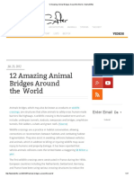 12 Amazing Animal Bridges Around The World TwistedSifter