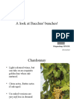 A Look at Bacchus' Bunches!: Magandeep SINGH