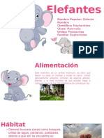 Elefante