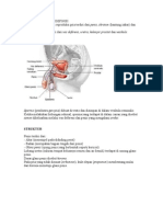 Download Sistem Reproduksi Pria DEFINISI by Anonymous RJVGKvxLt SN30056987 doc pdf