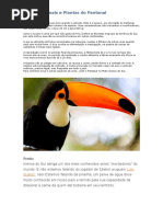 Animais e Plantas Do Pantanal