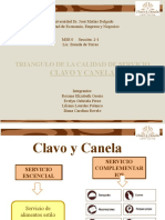 TRIANGULO DE SERVICIO CLAVO Y CANELA 