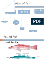 Classification of Fish