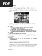 Download Radiografi Panoramik by ArchidHananAfifah SN300630821 doc pdf