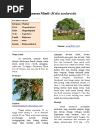 Download Tanaman Mindi Melia Azedarach by diajeng SN300631727 doc pdf