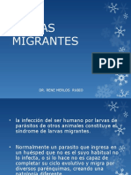 Clase 4 Larvas Migrantes