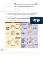 OB 2 Fertilization