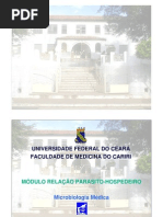Download 07 Aula Estreptococos by regisribeiro SN30072648 doc pdf