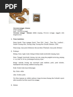 Download Monografi Curcuma mangga  Val rhizoma by DayangGesti SN300728052 doc pdf
