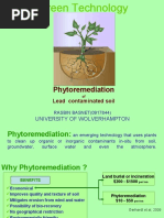 Download Phytoremediation of Lead by Rasbin Basnet SN30077801 doc pdf