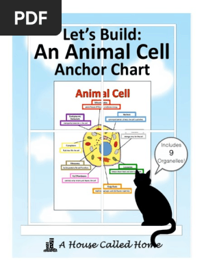 An Animal Cell Let S Build Anchor Chart Cytoplasm Lysosome