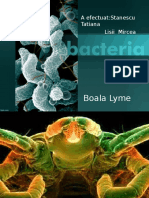 Boala Lyme