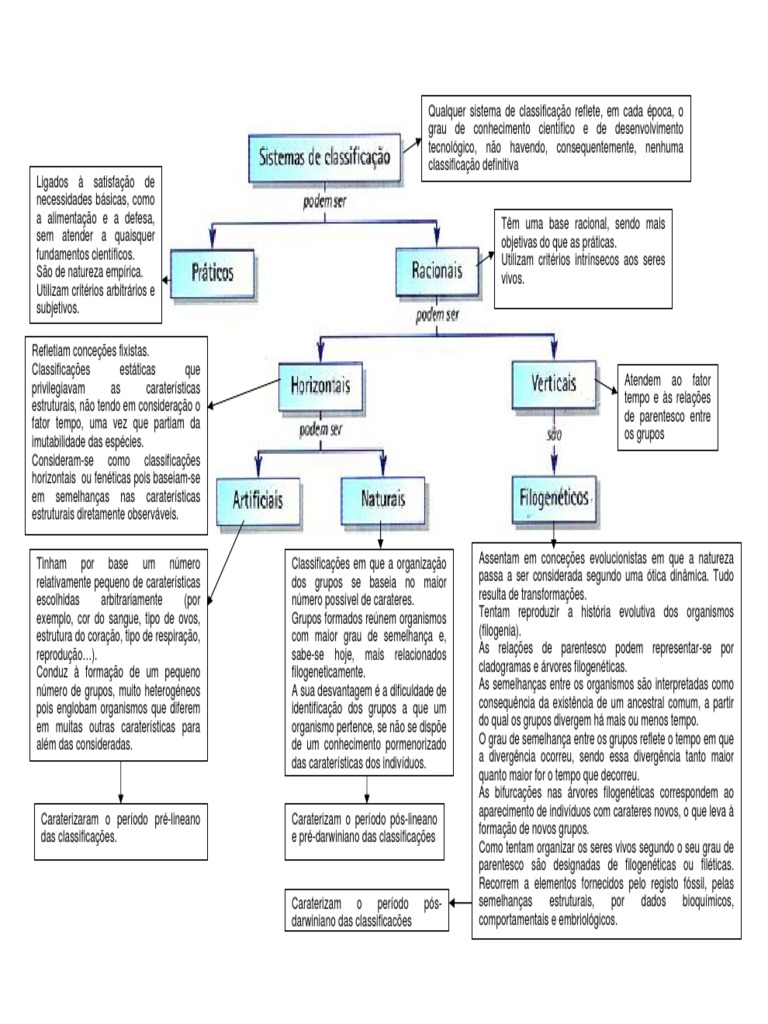 Níveis de organização dos seres vivos: o que são?, image size:768x1024