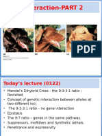 For Connect With Final Answers Gen. Int 2 in Class Lecture 6 Gene Interaction - PART 2