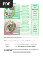 Ejercicios Naturales 5º 6º Primaria
