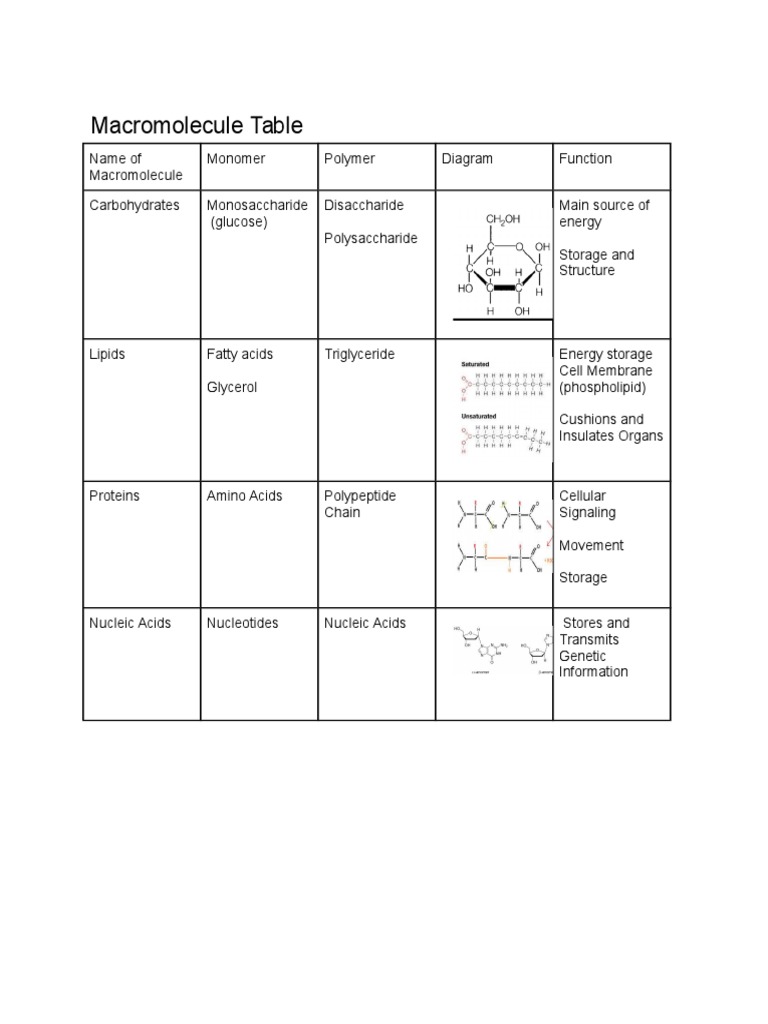 Macromolecule Types and Functions | PDF | Science & Mathematics